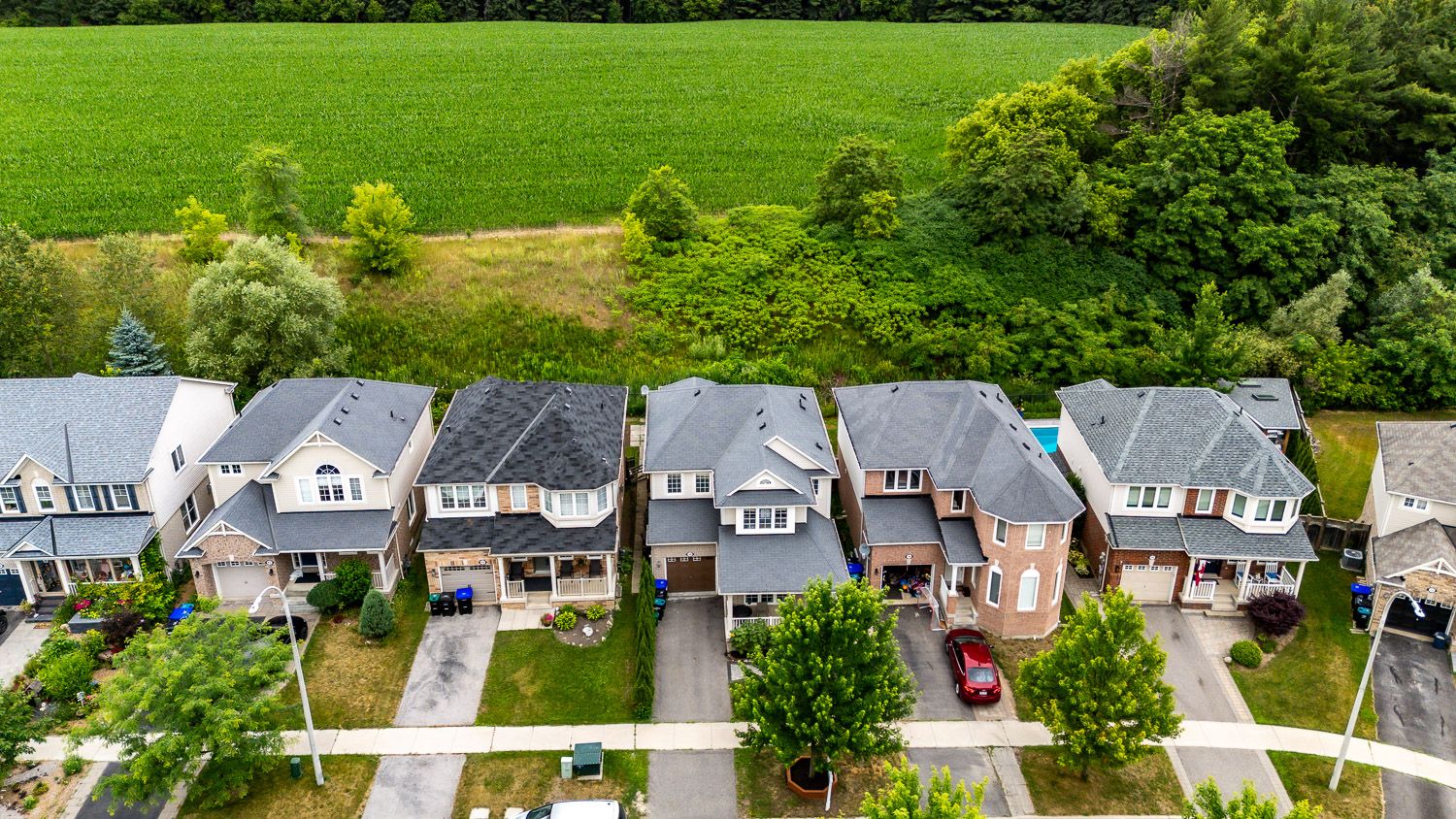 38 Steele St Alliston - Ted Tesseris