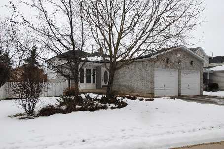 24 Gray Ave Alliston - Ted Tesseris