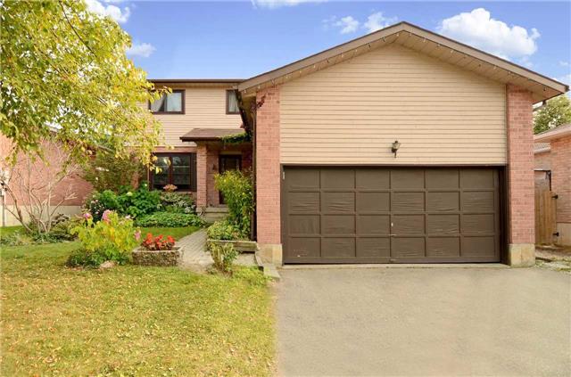 57 Maple Ave Beeton - Ted Tesseris
