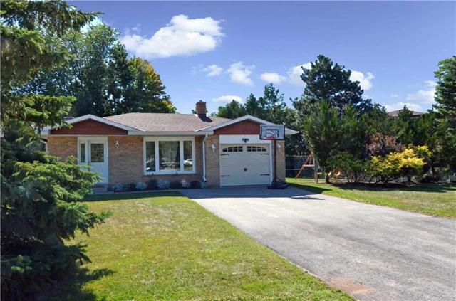 1 Bray St Beeton - Ted Tesseris