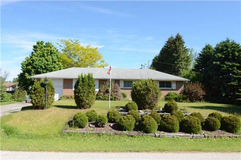 207 McGeorge Ave Angus - Ted Tesseris