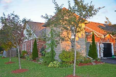 77 Cowan Ave Alliston - Ted Tesseris