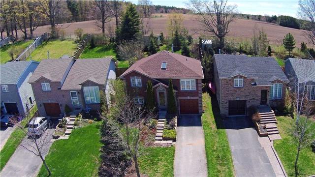 63 Lougheed Rd Barrie - Ted Tesseris