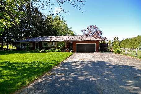 5960 17th Sideroad King - Ted Tesseris