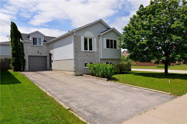 40 Barre Dr Barrie - Ted Tesseris