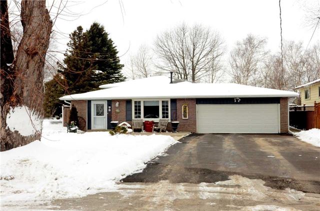 98 Maple Ave W Beeton - Ted Tesseris