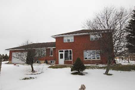 158451 Hwy 10 Dundalk - Ted Tesseris