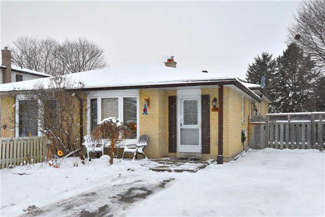 30 Stewart Ave Alliston - Ted Tesseris
