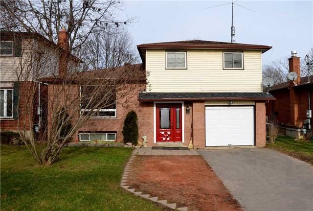 196 Queen St Alliston - Ted Tesseris
