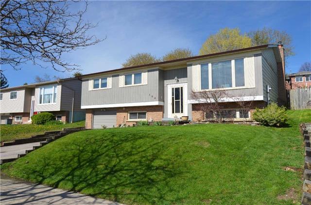 164 Valleyview Cres Bradford - Ted Tesseris
