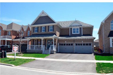 31 Swenson St Alliston - Ted Tesseris