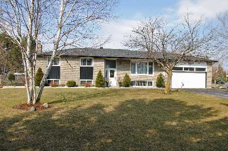 8 Simon Dr Loretto - Ted Tesseris