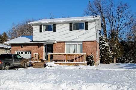 34 Boyne Cres Alliston - Ted Tesseris