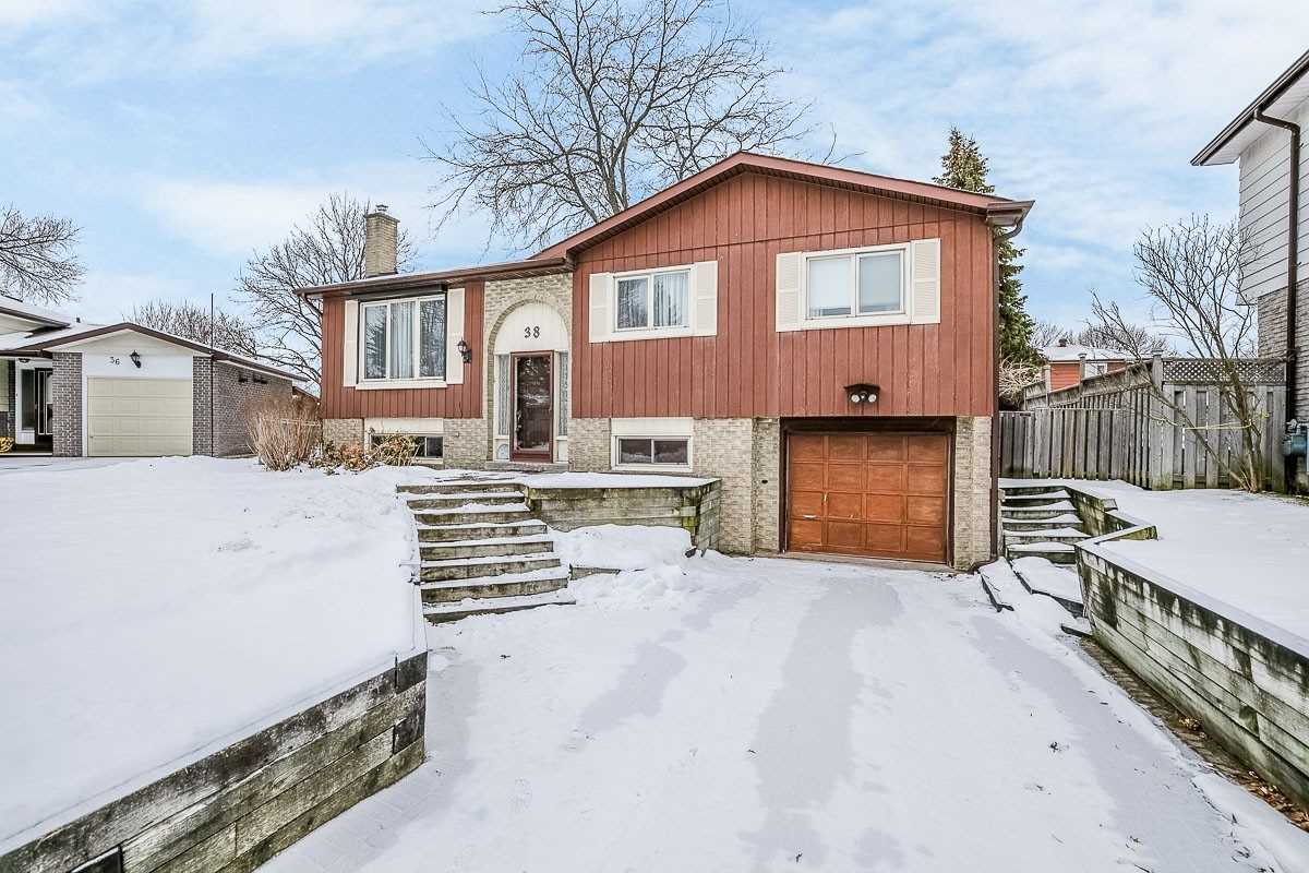 38 Colbeck Cres Alliston - Ted Tesseris