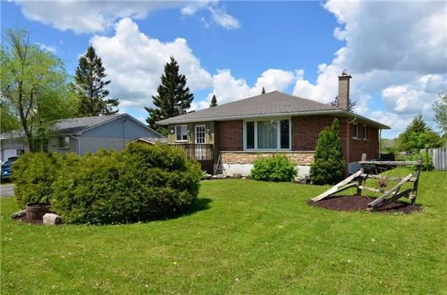 171 Glenelg St Dundalk - Ted Tesseris