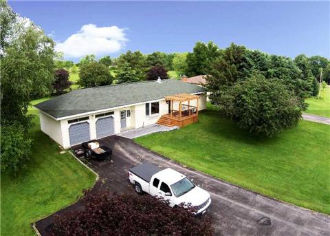 4380 Train St New Tecumseth - Ted Tesseris