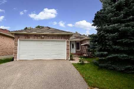 61 Hutchinson Dr Alliston - Ted Tesseris