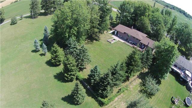 6380 7th Line New Tecumseth - Ted Tesseris