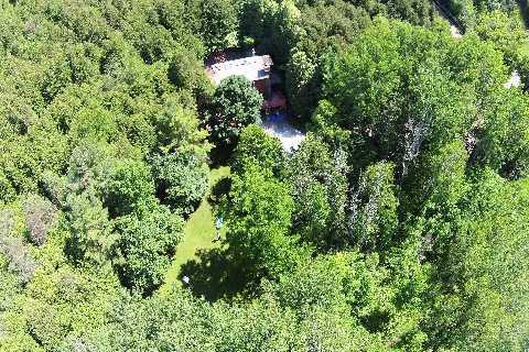 2801 Concession Rd 3 Adjala - Ted Tesseris