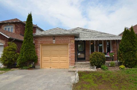 72 Oak St Alliston - Ted Tesseris