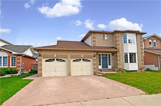 102 Prospect St Beeton - Ted Tesseris