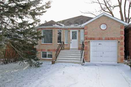 201 Nelson St E Alliston - Ted Tesseris