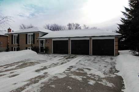9 Moore Ave Everett - Ted Tesseris