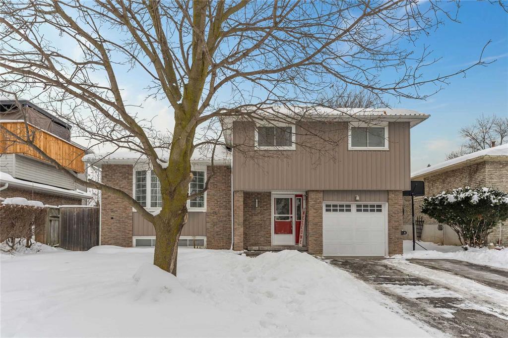 273 Tupper St Alliston - Ted Tesseris