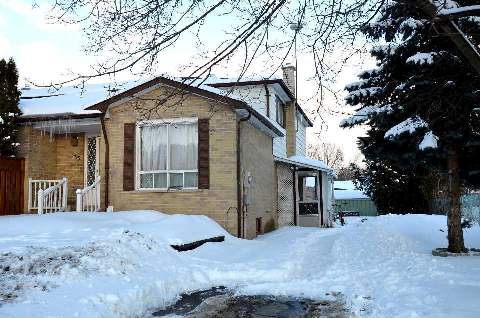33 Stewart Ave Alliston - Ted Tesseris