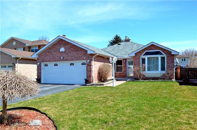 63 Julia Dr Beeton - Ted Tesseris