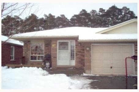 87 Kate Aitken Cres Beeton - Ted Tesseris
