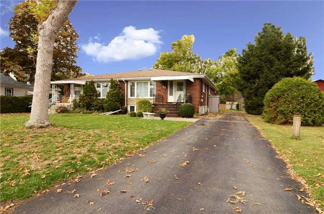 64 Nelson St E Alliston - Ted Tesseris