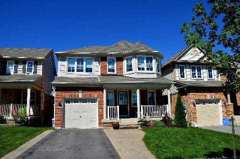 48 Steele St Alliston - Ted Tesseris