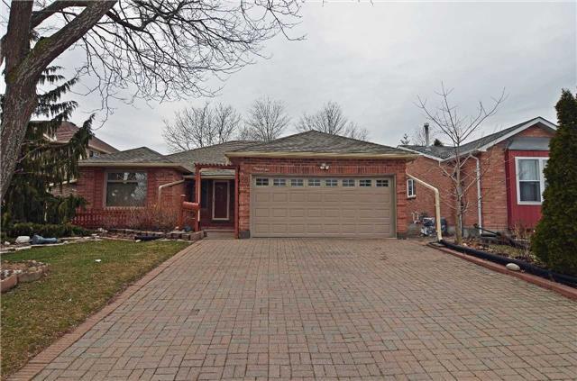 66 Hutchinson Dr Alliston - Ted Tesseris