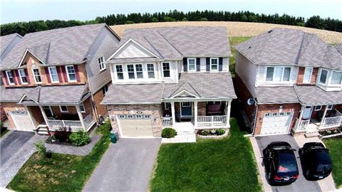 50 Steele St Alliston - Ted Tesseris