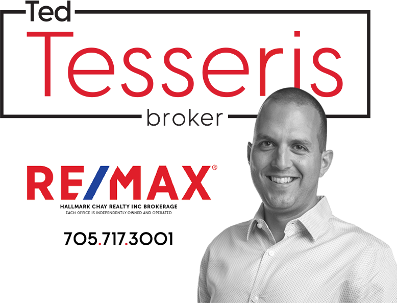Ted Tesseris - Re/Max Real Estate Agent